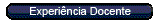 Experi&ecirc;ncia Docente