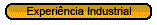 Experi&ecirc;ncia Industrial